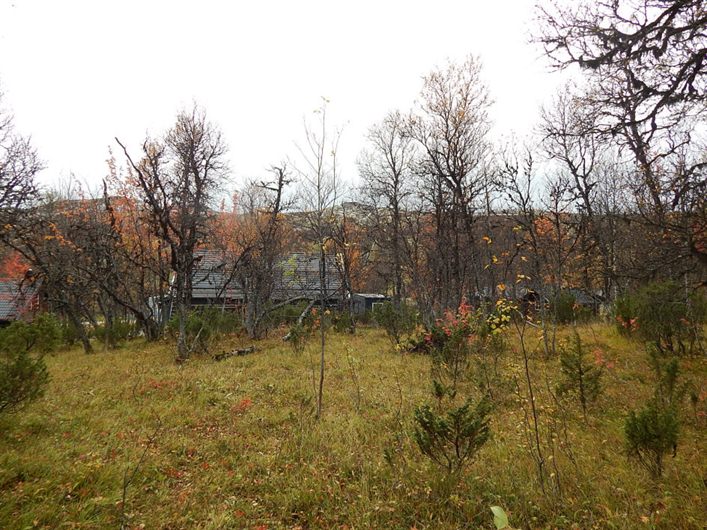 Tomt i Härjedalen Buskvallen
